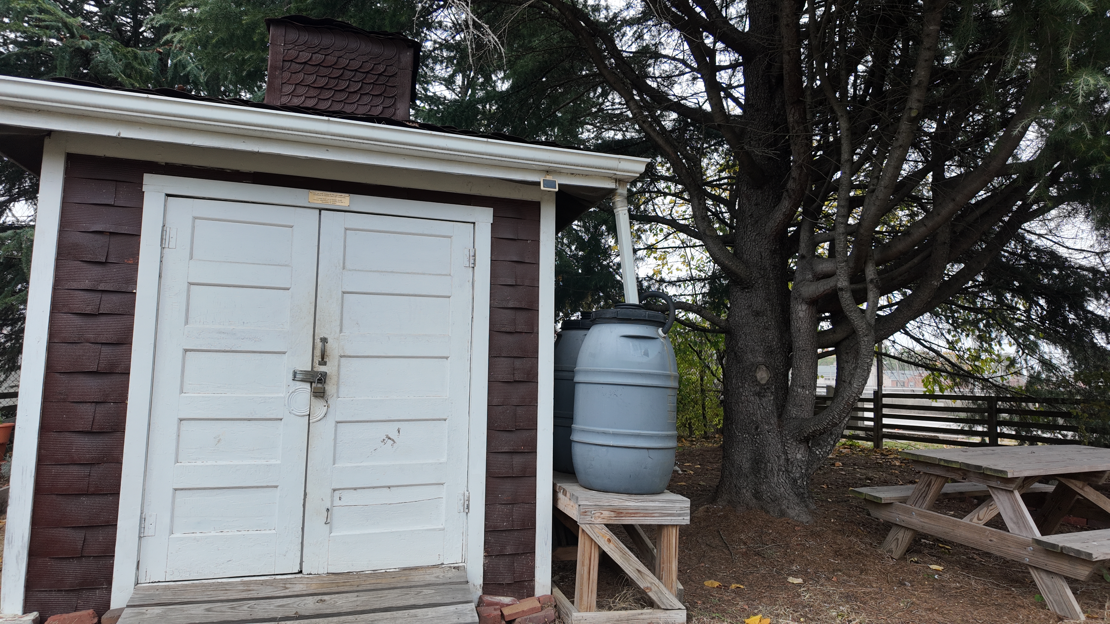 Hump Calder Garden 2